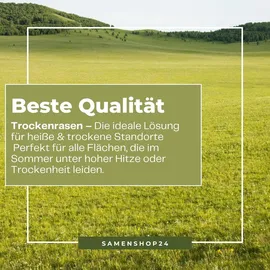 Kiepenkerl Rasensamen Sunny Green für trockene, Standorte 10 kg