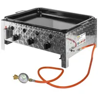 BSR-Grillen.de Gasgrill Edelstahl 2 flammig Gastrobräter