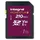 Integral Momentum I 1 TB SDXC V30 U3 Karte – bis zu 210 MB/s lesen, 180 MB/s schreiben – für DSLR, spiegellose Kameras & Camcorder – 4K-UHD-Video & Burst-Mode – wasserdicht, stoßfest, robust