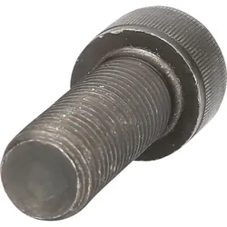 Schraube M22 x 60mm 440.0366