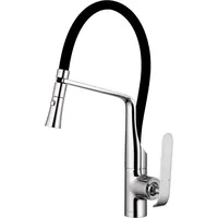 Paulgurkes - Küchenarmatur Wasserhahn mit Brause