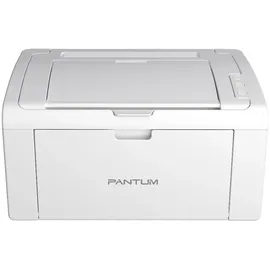 Pantum P2509W
