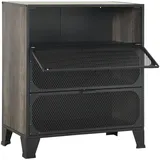 vidaXL Aufbewahrungsschrank 72 x 36 x 82 cm Grau
