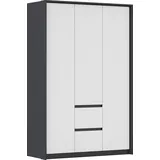 Rauch Drehtürenschrank Mainz mit Passepartout 141 x 212 x 58 cm Grau