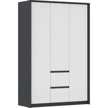 Rauch Drehtürenschrank Mainz mit Passepartout 141 x 212 x 58 cm Grau