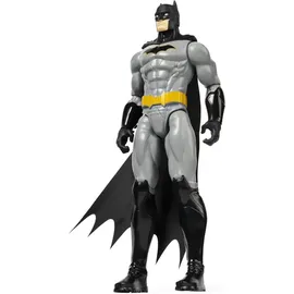 Spin Master DC Actionfigur sortiert