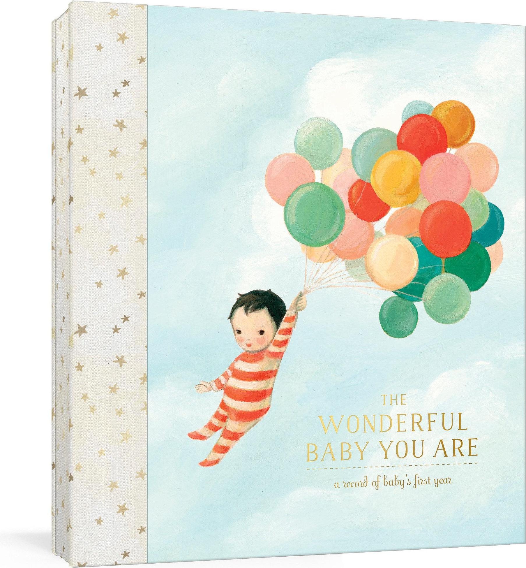 The Wonderful Baby You Are: A Record of Baby\'s First Year, Ratgeber von Emily Winfield Martin