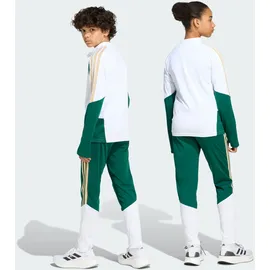 adidas Tiro Training Junior Jogginghose Collegiate Green 164