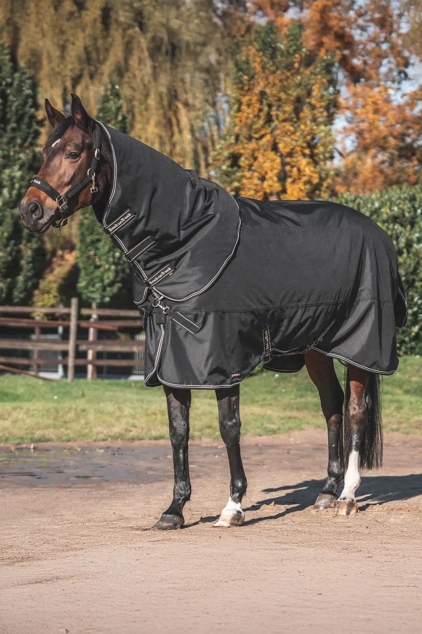Back on Track Obsidian Weidedecke mit abnehmbarem Halsteil, 150g