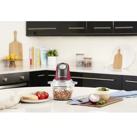 Russell Hobbs Desire 27130-56 Zerkleinerer