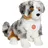 Teddy-Hermann Australian Shepherd Welpe