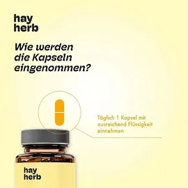 hay herb Gute Laune Kapseln 60 St.