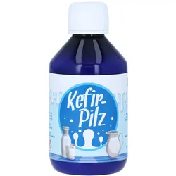 Kefir Pilz zur Bereitung aus Milch 1 St