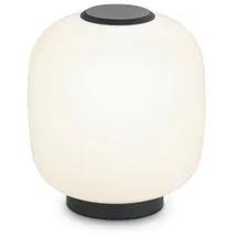 Helestra Milo Weiß 2 St.