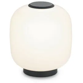 Helestra Milo Weiß 2 St.