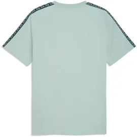Puma ÖFB Österreich King T-Shirt modern mint/puma black XL
