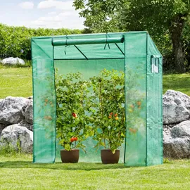 WINDHAGER Foliengewächshaus Metall Grün Transparent 200 cm 1,17 m2