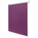 Lichtblick Thermo-Rollo Klemmfix 95 x 150 cm fuchsia