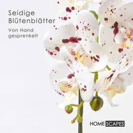 Homescapes - künstliche Weiße Phalaenopsis-orchidee im schwarzen Keramiktopf, 62 cm