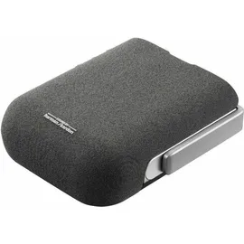 ViewSonic M1XE DLP Grau