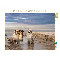Calvendo Puzzle Australian Shepherd 2022 1000 Teile Lege-Größe 64