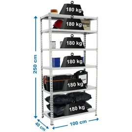 Proregal Schwerlastregal Giant Metal Shark HxBxT 250 x 100 x 40 cm Fachlast 180 kg Verzinkt