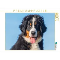 Calvendo Puzzle Ein entzückender junger Berner Sennenhund 1000 Teile