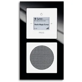 Busch-Jaeger UP-Radio iNet (8216 U)