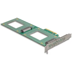 Delock Speicher-Controller - Gabelung, 236 x 87 mm