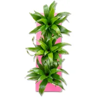 Flowerbox Karton-Flowerbox Sweet 3 - rosa - 36x11,5 cm