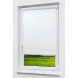 LYSEL® Kassettenrollo Tageslicht 80 x 175 cm weiß/reinweiß