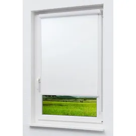 LYSEL® Kassettenrollo Tageslicht 80 x 175 cm weiß/reinweiß