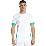Puma teamGOAL Matchday Jersey Unisex-Erwachsene Fußballtrikot, PUMA White-Sport green