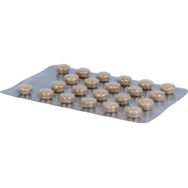 Dr. Pandalis Cystus 052 Bio Halspastillen Honig Orange 132 St.