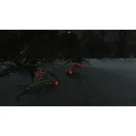 Das Schwarze Auge: Demonicon (PC)