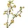 Bloomingville Hawthorn Zweig, Gelb, Künstliche Blumen