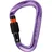 Mammut - Classic HMS Screwgate Carabiner alpine calamint - lila