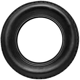 Mastersteel Winter Plus 195/60 R15 88H
