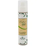 Schwedenkräuter-Balsam (30ml, 100 ml) - MT Naturprodukte