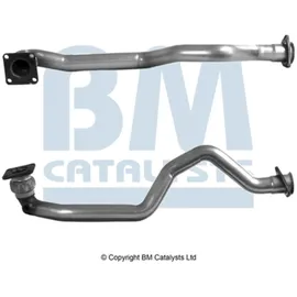 BM CATALYSTS BM70296