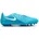 Blue Fury/White 42 5