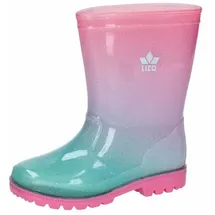 LICO Stormy Rosa 23