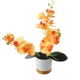 Hasaller Künstliche Orchidee mit Vase, weiße Orchidee, Bonsai, künstliche Orchidee, Phalaenopsis-Blumentopf, Arrangements für Heimdekoration (orange)