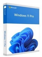 Microsoft Windows 11 Pro