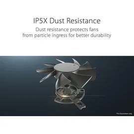 Asus GeForce RTX 4060 8 GB GDDR6