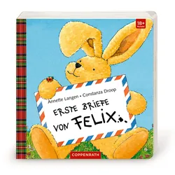 Die Spiegelburg - Erste Briefe von Felix (Pappbilderbuch mit Klappen)