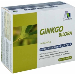 Ginkgo 100 mg + Vitamine C, E, B1 und Folsäure Kapseln