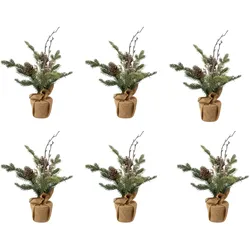 CREATIV green künstliche Pflanze Tanne im Jutesack mit Zapfen und Beeren, 36 cm, grün, 6er Set