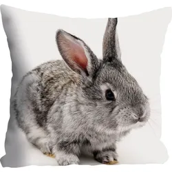 Dekokissen QUEENCE "Noel", grau (grau, bedruckt), B:40cm L:40cm, Polyester, Dekokissen_Sitzkissen_Kissenhüllen, Kissenhülle,Kaninchen,Tiermotiv,Niedlich,Verspielt,Naturmotiv