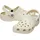 Bone 41-42